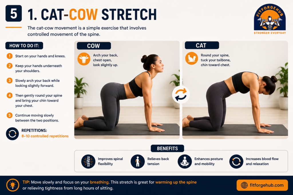 cat cow stretch